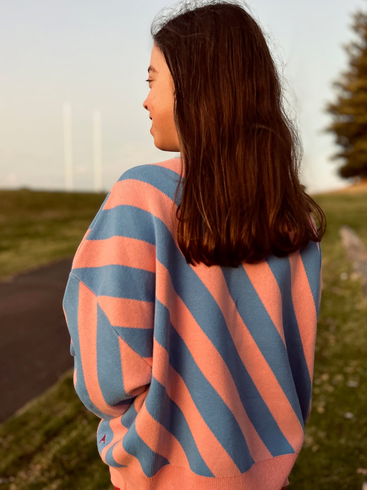 Cosmic Care Bear Knit