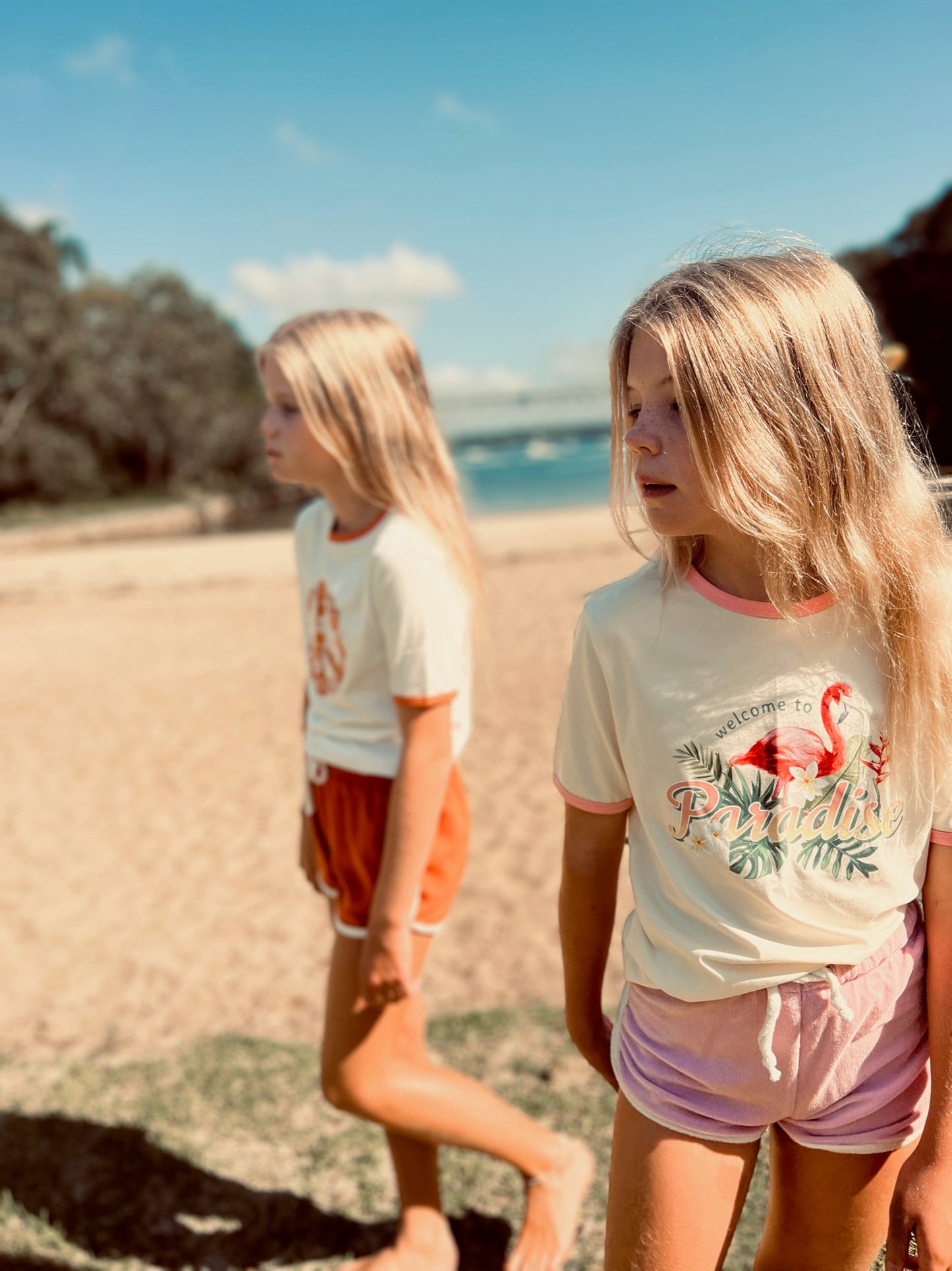 Flamingo Ringer Tee