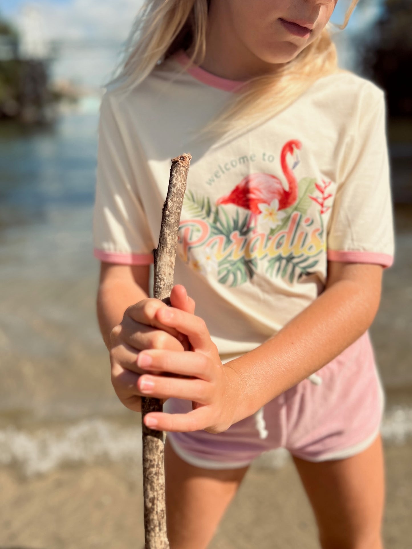 Flamingo Ringer Tee