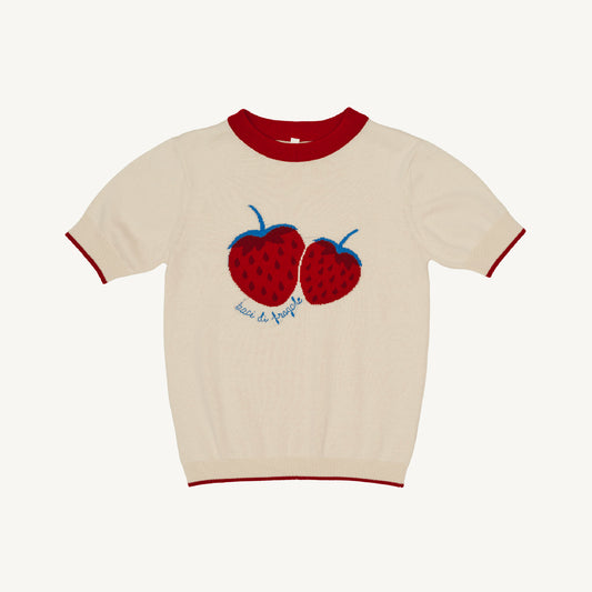 Strawberry Knit Top